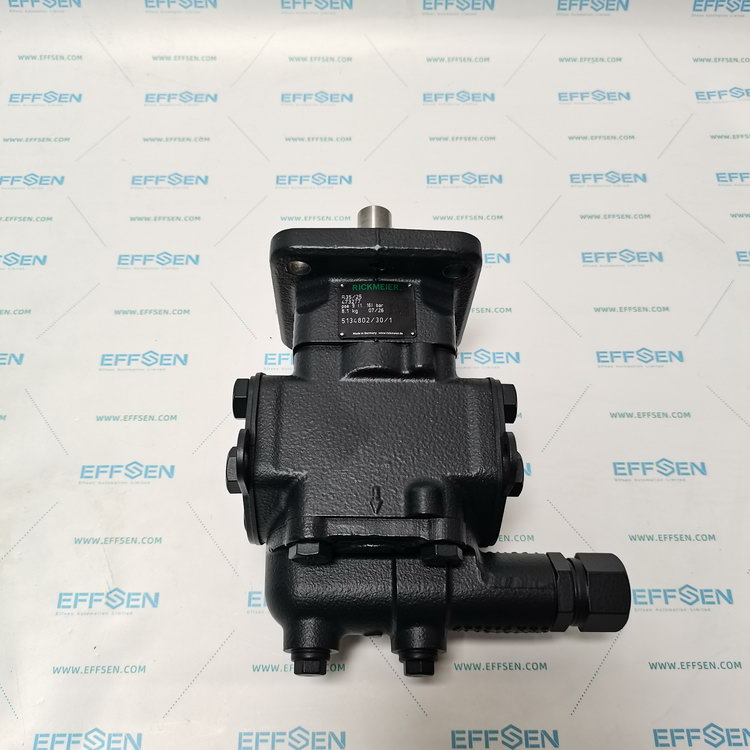 Rickmeier R35/25 FL-Z-DB16-W-SAE1.1/2-R-P Gear Pump