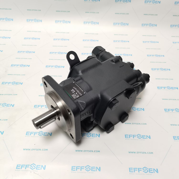 Rickmeier R35/63 FL-Z-DB16-W-SAE2-R-P Gear pump