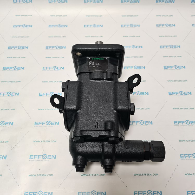 Rickmeier R35/63 FL-Z-DB16-W-SAE2-R-P Gear pump