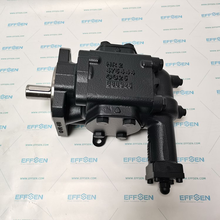 Rickmeier R45/100 FL-Z-DB16-W-SAE2-R-P Gear pump