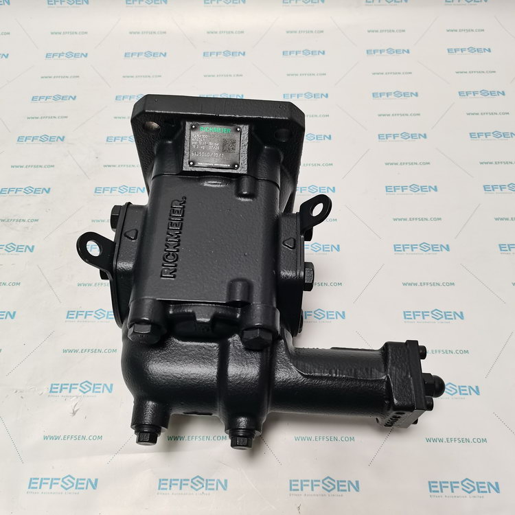 Rickmeier R45/100 FL-Z-DB16-W-SAE2-R-P Gear pump