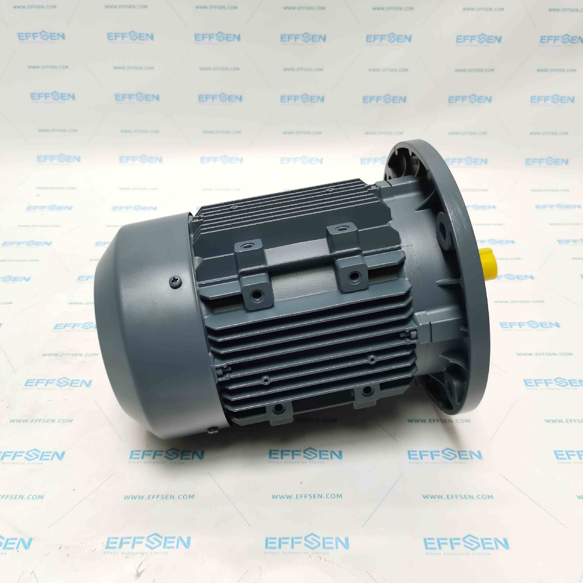 ELK 2EL080M6A‑FA‑A0‑000 Three Phase Induction Motor