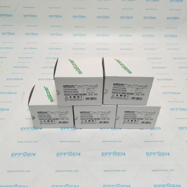 Salzer H233-41300-003M1 Rotary cam disconnect switch