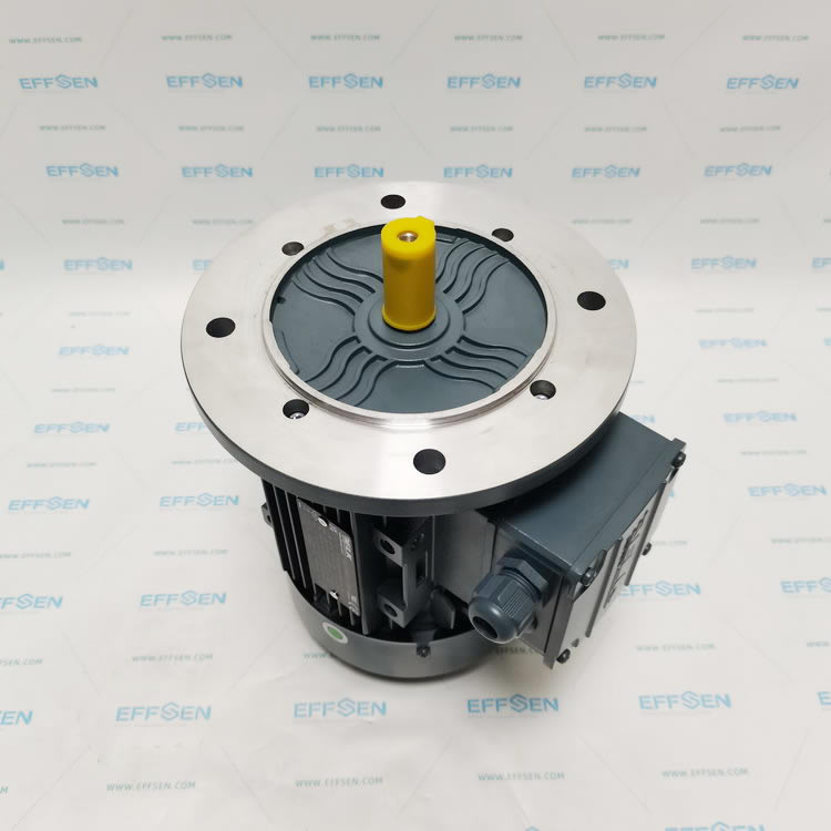 ELK Motor 2EL080M6A-FA-A0-000 Three-phase squirrel cage induction motor