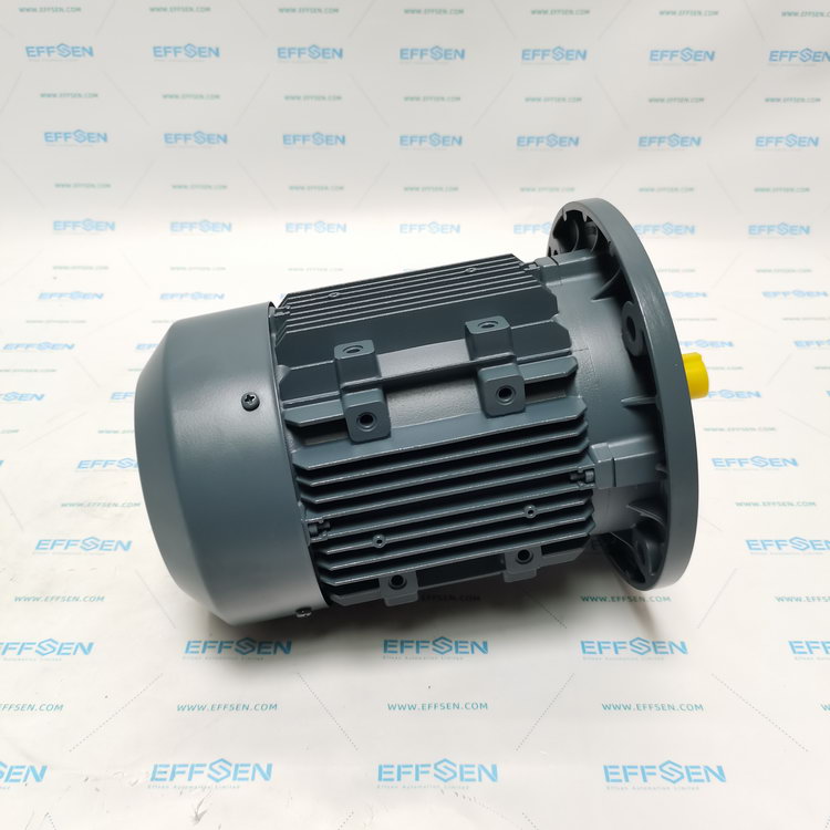 ELK Motor 2EL080M6A-FA-A0-000 Three-phase squirrel cage induction motor