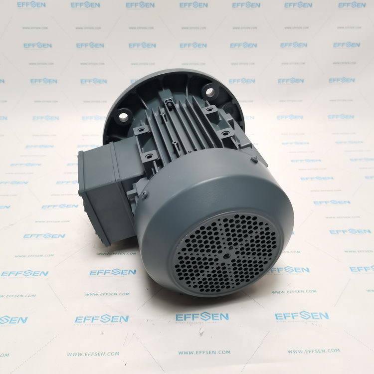 ELK Motor 2EL080M6A-FA-A0-000 Three-phase squirrel cage induction motor