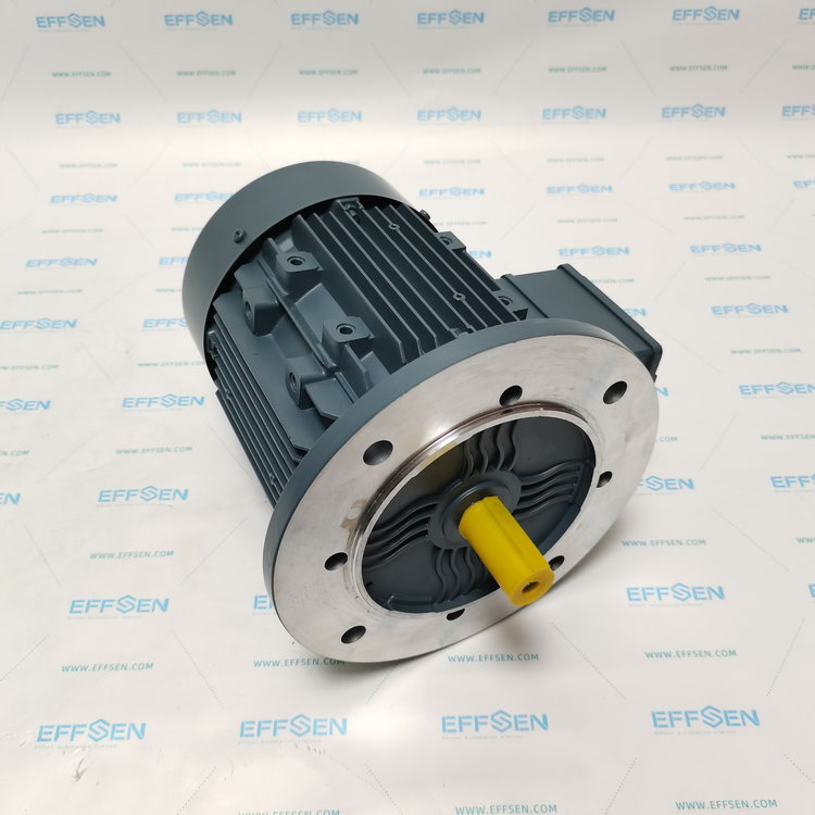 ELK Motor 2EL080M6A-FA-A0-000 Three-phase squirrel cage induction motor