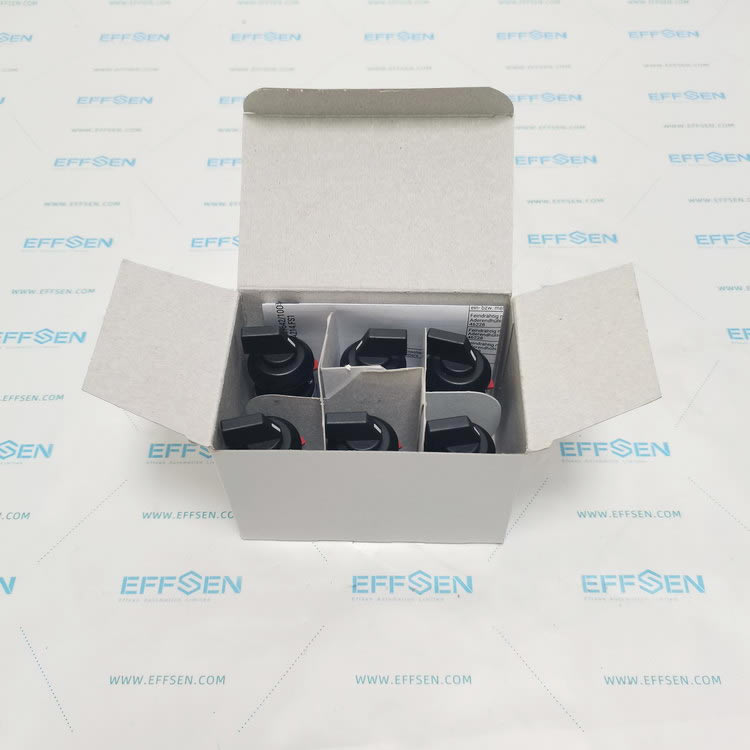 Kraus & Naimer CG4.A214.FS1 Cam switch