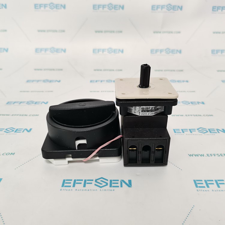 Salzer H233-41200-033N1 Rotary cam disconnect switch